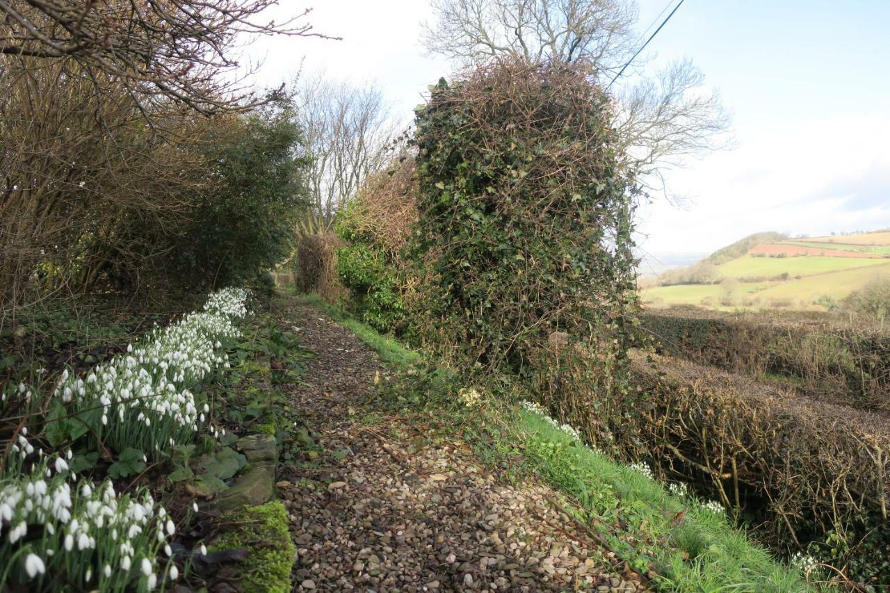 Highfield Bed & Breakfast Hay-On-Wye Eksteriør bilde